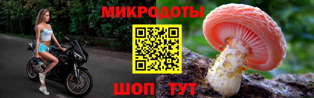 купить наркотики цена  Вход с VPN  Кандалакша  Галлюциногенные грибы Magic Shrooms 
